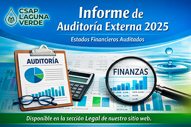 FCP Auditores emite el Informe de Auditoría Externa Año Tributario 2025